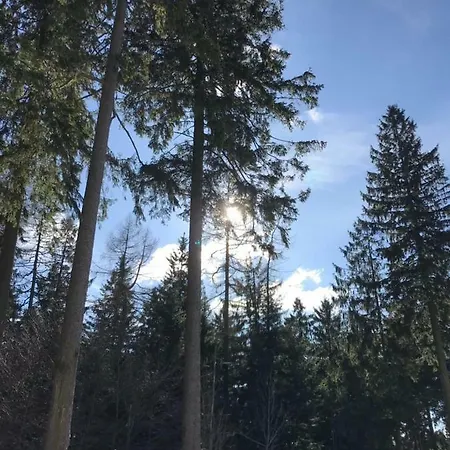 Hahnenklee Ferienpark 7-511 Goslar Eksteriør billede