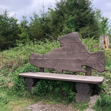 Hahnenklee Ferienpark 7-511 Goslar Eksteriør billede