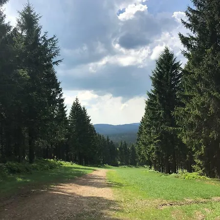 Hahnenklee Ferienpark 7-511 Goslar Eksteriør billede
