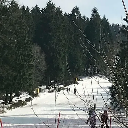 Hahnenklee Ferienpark 7-511 Goslar Eksteriør billede