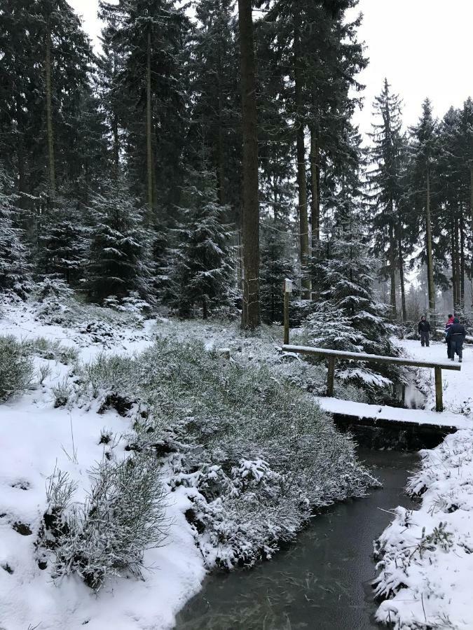 Hahnenklee 7-511 Апартаменты Гослар