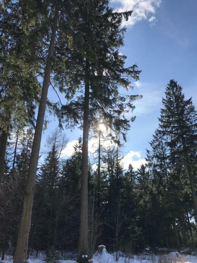 Hahnenklee 7-511