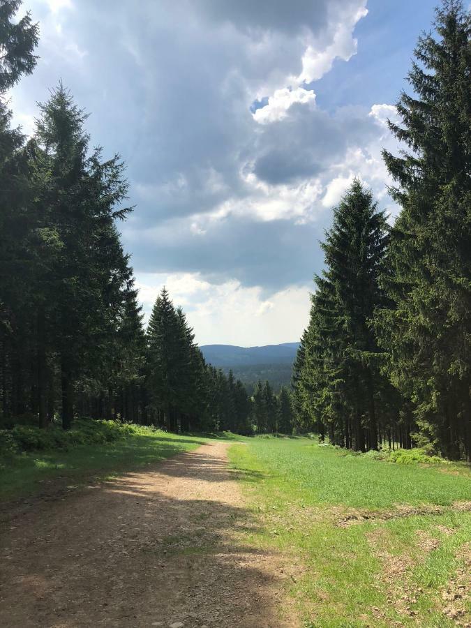 Апартаменты Hahnenklee 7-511