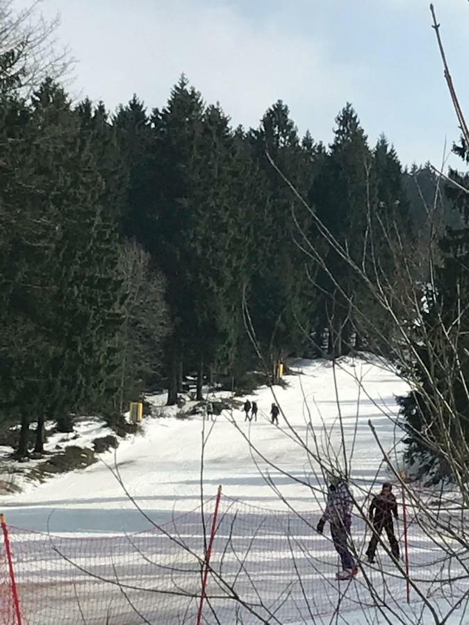 Апартаменты Hahnenklee 7-511 *